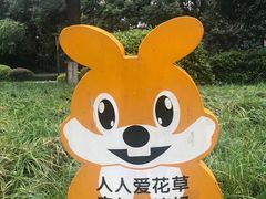 -神仙树公园