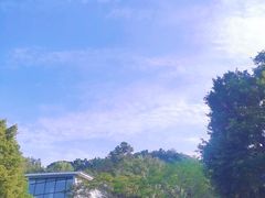 -王借岗森林公园