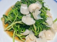 清炒米苋-绿波廊(豫园店)