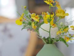 -蝶舍·MAISON PAPILLON