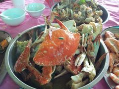 -大湾区中央湿地公园-十九涌