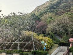 -小南山公园