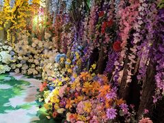 -正佳雨林生态植物园