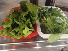 -正能量脆肉鲩火锅