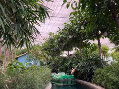 -南宫五洲植物乐园