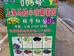 -马陆小张葡萄园农家乐