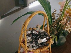 -施奈儿.洗头頭療.按摩SPA.采耳(上梅林店)