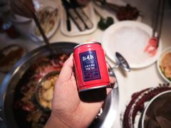 油碟-孙毛肚火锅(春熙路店)