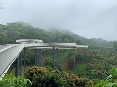 -光明小镇欢乐田园