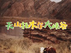 -新疆天山托木尔景区·大峡谷