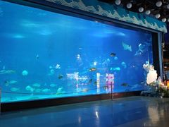 -烟台海昌鲸鲨海洋公园