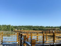-大湾区中央湿地公园