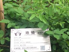 -广州神农草堂中医药博物馆