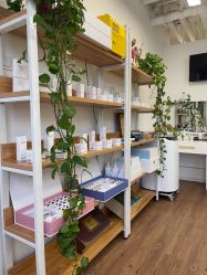 -美肌工坊皮肤管理