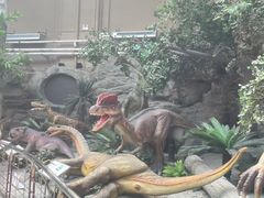 -国家自然博物馆