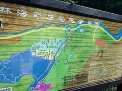 -汤旺河林海奇石景区
