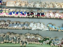 -济州岛泰迪熊博物馆