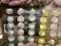 -南枝小馆(银鱼巷店)