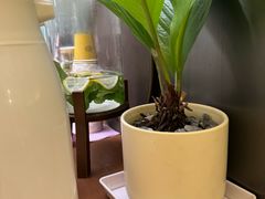 -CURRY YA 熟成咖哩專門店(深圳湾万象城店)