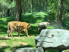 -北京野生动物园