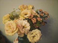 -Flower in(密渡桥店)