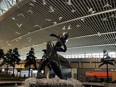 -青岛胶东国际机场