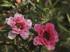 -北京植物园-展览温室