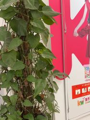 -孩子王(静安大融城店)