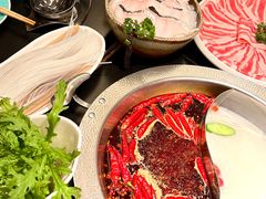 牛油鸳鸯锅-宽巷子成都火锅(南站店)