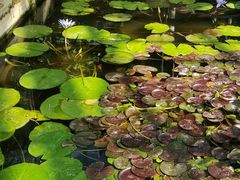 -国家植物园南园