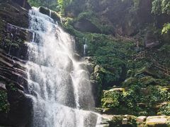 -碧峰峡风景区