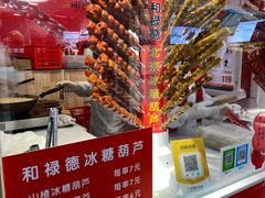 -和禄德冰糖葫芦