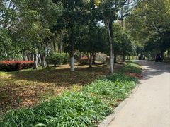 -上海鲜花港