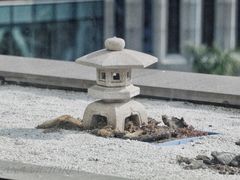 -金井日本料理(丽柏广场店)