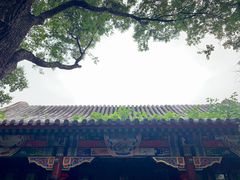 -宣武艺园