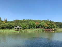 -绍兴镜湖国家城市湿地公园