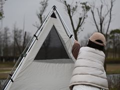 -春花秋色城市公园