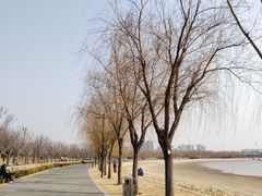 -象湖生态湿地公园