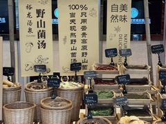 -裕龙汤泉