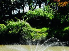 -上海醉白池公园