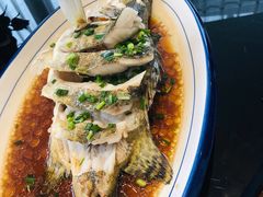清蒸鲜白鱼-锡和无锡菜(景丽苑店)
