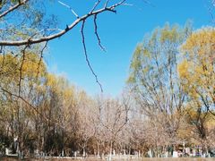 -长白岛森林公园