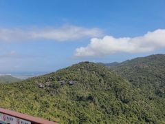 -三亚亚龙湾人间天堂鸟巢度假村