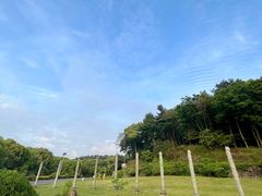 -平湖九龙山旅游度假区