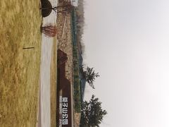 -莫子山公园
