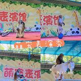 🐒肇庆周边游|四会大虫生态动物乐园|亲子游