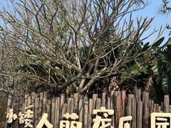 -珠海海泉湾度假区