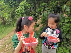 -樱桃山旅游景区