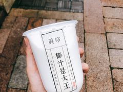 -眞宗·椰汁是大王(小娄巷店)