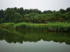 -大兴滨河森林公园